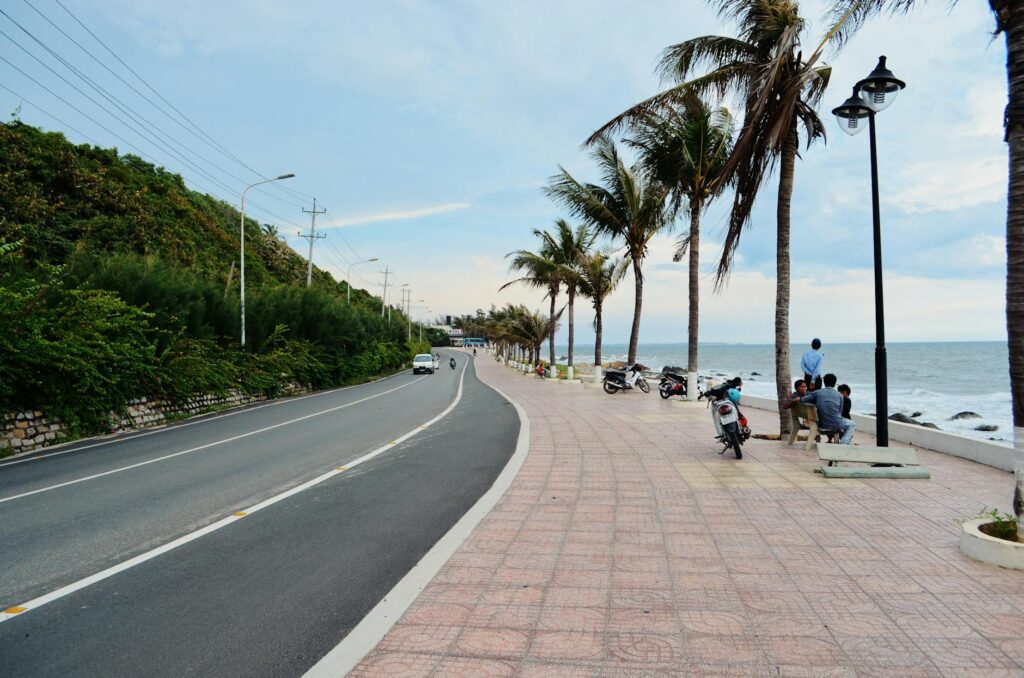 A tranquil seaside road lined with palm trees and benches, perfect for relaxation.