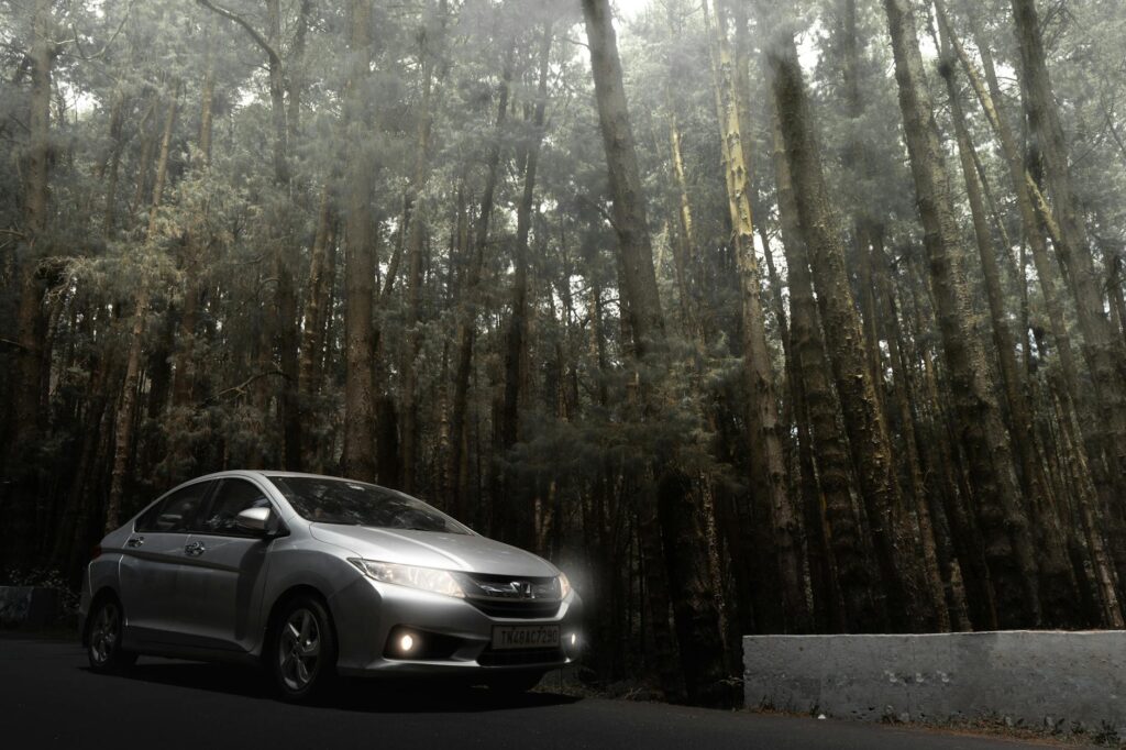 A parked car on a misty forest road in Kodaikanal, India, surrounded by towering trees.